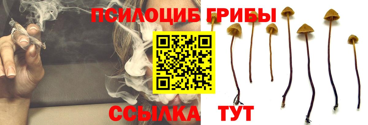 Галлюциногенные грибы ЛСД  Галлюциногенные грибы GOLDEN TEACHER  Малоярославец  Вход с VPN 